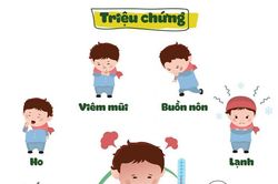 Cúm A là gì? Tổng hợp các thông tin cần biết về bệnh cúm A