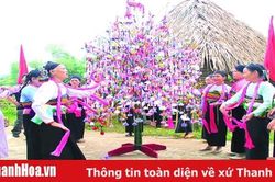 Đổi thay trên những bản làng vùng cao