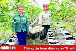 Công nhận 8 xã đạt chuẩn nông thôn mới và nông thôn mới nâng cao