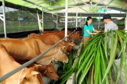 Chính sách hỗ trợ của nhà nước cho người dân bị thiệt hại do mưa lũ