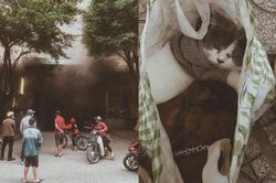 Cháy chung cư, chàng trai chỉ mang theo 4 chú mèo bỏ chạy