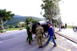 Đà Nẵng yêu cầu người dân không ra khỏi nhà từ 20 giờ ngày 27/10