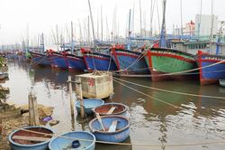 Bình Định: 8 tàu cá trong vùng nguy hiểm 'kêu cứu'