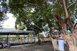 Trường học khẩn trương chèn chống phòng bão số 9