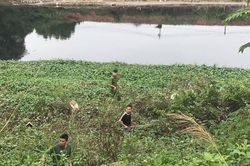'Xới tung' ven sông Nhuệ tìm nữ sinh Học viện Ngân hàng mất tích