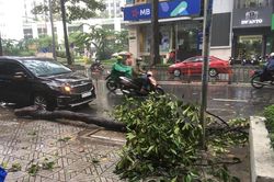 TP.HCM triển khai ứng phó bão số 9 ở khu vực giáp biển