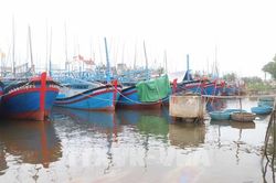 Ứng phó bão số 9: Cục Hàng hải tổ chức kiểm đếm tàu thuyền