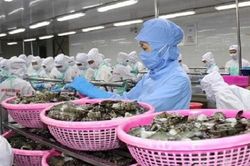 Các nước tăng cường biện pháp phòng vệ thương mại với hàng hóa Việt Nam