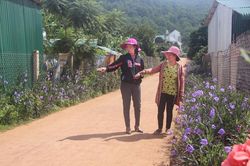 ''Hoa dã quỳ'' của mỗi buôn, thôn