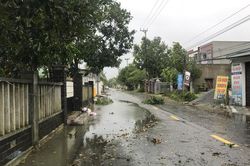 Đà Nẵng: Nước biển tràn bờ, cây cối đổ rạp trong bão