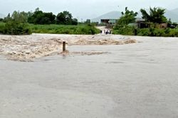 Gia Lai: 1 người chết, 181 căn nhà bị tốc mái do bão số 9