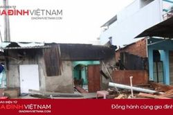 Cảnh tượng tan hoang sau khi bão số 9 đổ bộ vào Quảng Ngãi