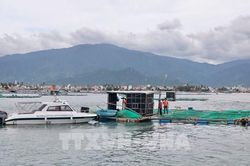 Vẫn còn 46 tàu cùng với 368 ngư dân của Bình Định chưa ra khỏi khu vực nguy hiểm