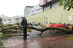 Khu vực Đông, Đông Nam tỉnh Gia Lai có nguy cơ rất cao xảy ra lũ quét, sạt lở đất