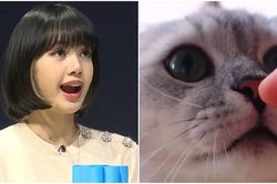 Thói quen xả stress khác biệt của mỗi thành viên Blackpink