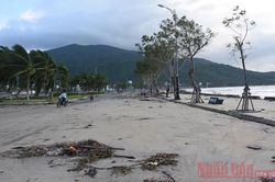 Nhiều km đường biển Đà Nẵng ngập trong cát