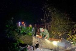 Bộ đội Quân khu 5 quyết tâm mở đường tìm kiếm, cứu nạn các nạn nhân mất tích