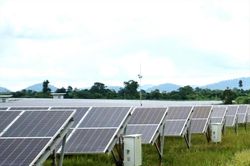 Dự án điện mặt trời lấn 247,7 ha rừng tự nhiên: Chủ doanh nghiệp 'đòi' tỉnh khen