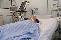 Cục trưởng Cục An toàn thực phẩm cảnh báo một số loại rượu tự ngâm có chứa độc tố rất mạnh!