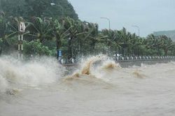 Không chút lơ là