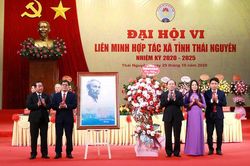 Phát triển kinh tế tập thể là xu thế tất yếu
