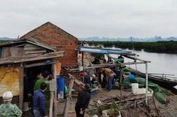 Nghi án chủ đầm nuôi trồng hải sản nổ súng hoa cải vào đầu tự sát