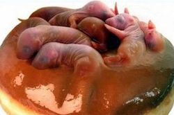 Hết hồn 'thần dược phòng the' giãy giụa, ít người liều ăn