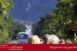 Những câu 'thần chú' cực chất của tài già, lái mới nên biết