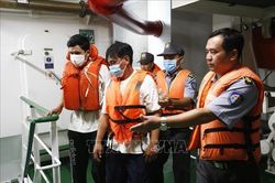 Vụ tàu cá bị chìm tại Bình Định: Đã cứu được 3 ngư dân trôi dạt trên biển