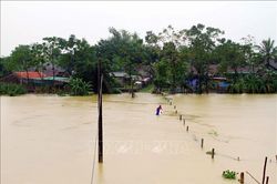 Người Việt tại Thụy Sĩ hướng về 'khúc ruột' miền Trung