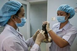 Việt Nam sẽ sớm thử nghiệm vaccine Covid-19 trên người
