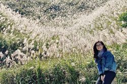 Kinh nghiệm du lịch Bình Liêu mùa cỏ lau