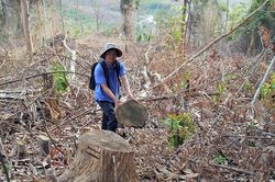 Sớm hoàn thiện 'tấm khiên' bảo vệ môi trường