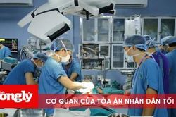 Việt Nam lần đầu thành công trong việc ghép ruột từ người cho sống