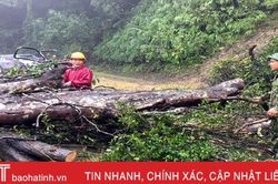 Kịp thời giải phóng cây đổ, QL 8A thông tuyến trở lại