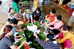 '...Còn chồi nảy cây'