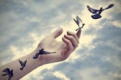 Đôi khi, điều quan trọng không phải là lựa chọn nắm giữ cái gì mà là buông bỏ điều gì