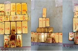 51 kg kim loại vận chuyển lậu là vàng thật