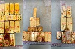 Vụ vận chuyển 51kg vàng qua An Giang: Thêm 3 đối tượng đầu thú