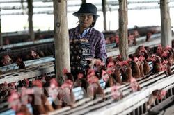 Thái Lan có nguy cơ đối mặt với tình trạng thiếu hụt lao động