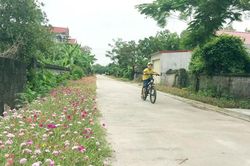 Hành trình vươn tới tỉnh nông thôn mới