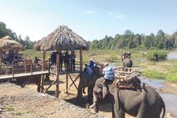 Sẽ bỏ hẳn cưỡi voi để bảo tồn 'bầy voi nhà'