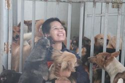 Người phụ nữ dành cả tuổi thanh xuân đi giải cứu thú cưng