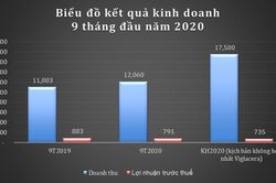 GELEX lãi trước thuế 791 tỷ đồng trong 9 tháng, vượt 7% kế hoạch năm
