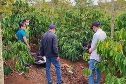 9X lạnh lùng sát hại người tình rồi cướp tài sản