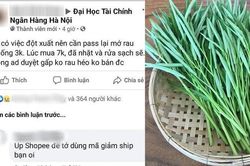 Rao bán lại bó rau muống với giá 3.000 đồng, nam sinh nhận 'bão đơn' bởi lối đăng bài cực duyên dáng