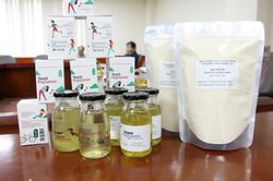 Sản xuất chế phẩm protease tái tổ hợp từ E. coli BL 21DE3: Tận dụng nguồn nguyên liệu sẵn có
