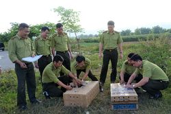 Thả 115 các thể chim chào mào về môi trường tự nhiên