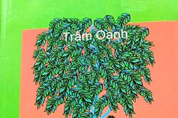 Lũ trẻ hẻm cây khế