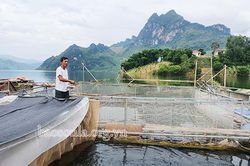 Cựu chiến binh làm kinh tế giỏi